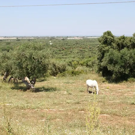 Orizzonte